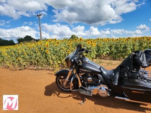 moto-harleydavidson-street-glide-street-glide-por-r6400000-em-ncleo-bandeirante-df-big-0