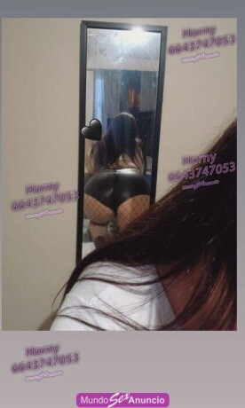 promo-500-trato-de-novios-y-relaciones-ilimitadas-en-tijuana-baja-california-6643747053-big-2