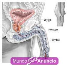 masaje-prostatico-pra-caballeros-cuento-con-lugar-en-guadalajara-jalisco-523313316140-big-1