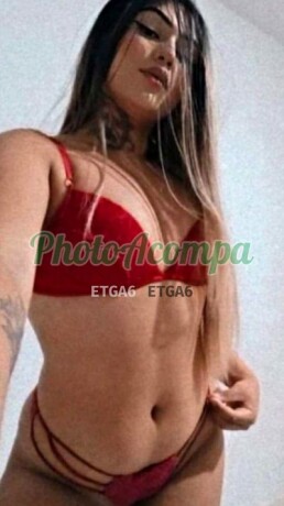 melissa-nunes-trans-safadinha-com-local-e-nova-na-cidade-big-1