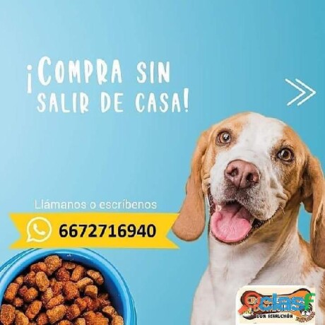 se-rentan-en-culiacan-local-comercial-colonia-las-vegas-en-culiacan-clasf-animales-big-2