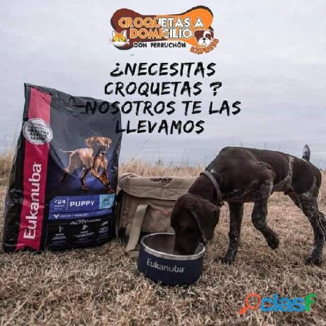 departamento-grandsunset-sabalo-country-mazatlan-sinaloa-en-mazatlan-clasf-animales-big-2