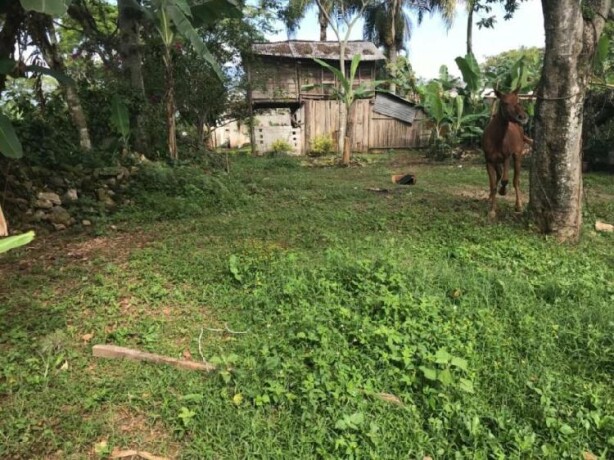 terreno-en-san-marcos-ver-en-xico-clasf-animales-big-0