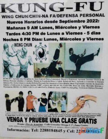 clases-de-yoga-taoista-chi-kung-en-xalapa-en-xalapa-clasf-deportes-y-nautica-big-1