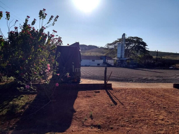 chacara-sitio-e-rancho-de-temporada-em-fazenda-pedregulho-sao-paulo-fazenda-cafeeira-big-1