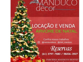 Locaco de arvore de natal decorada para eventos em Brasilia Aguas Claras Servicos para festas infantis e eventos no 202785196 