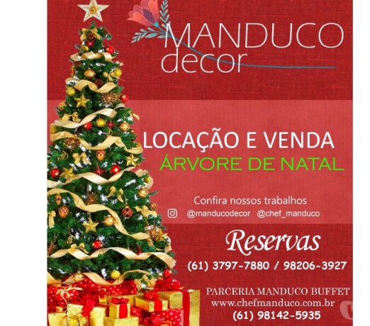 locaco-de-arvore-de-natal-decorada-para-eventos-em-brasilia-aguas-claras-servicos-para-festas-infantis-e-eventos-no-202785196-big-0