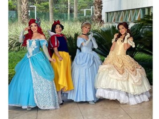 PERSONAGEM VIVO PRINCESAS DA DISNEY BH E REGIO Pampulha Servicos para festas infantis e eventos no 265940182 