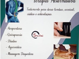 Quiropraxia e Shiatsu Jacarepagu massagem e drenagem linftica no 255664158 