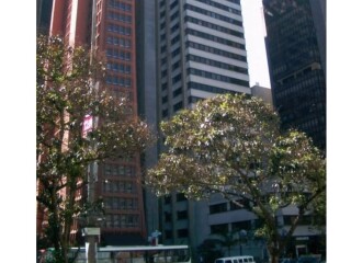 Alugo Avenida Paulista Mobiliado Jardim Paulista Ofertas para aluguel de loja Jardim Paulista no 133474820 