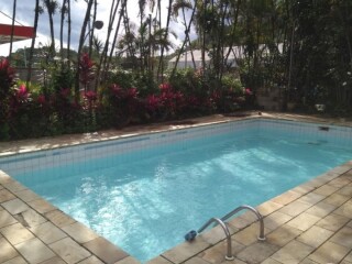 Limpeza Tratamento e Manutenco de Piscina em Santos Santos SP Profissionais liberais no 192489106 