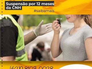 VillelaCampos TRNSITO Goiania GO Profissionais liberais no 223905061 