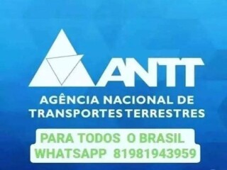 Despachante recife Recife PE Profissionais liberais no 228423167 