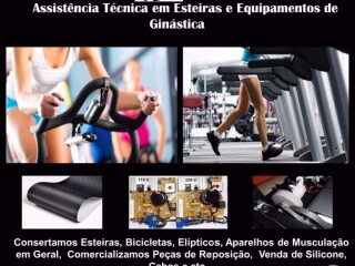 Conserto de Esteiras e Equipamentos Fitness Itapevi Servicos especializados no 148538682 