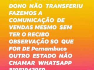 Despachante recife Pernambuco Recife PE Servicos especializados no 249448068 