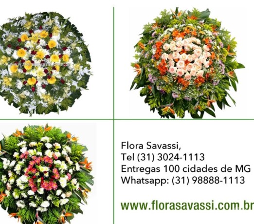 cemitrio-do-carmo-em-santa-luzia-mg-floricultura-coroas-centrosul-servicos-especializados-no-282895857-big-0