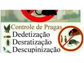 Controle de Pragas em zona sul de Porto Alegre Desentupidor Porto Alegre Sul Servicos especializados no 308205649 