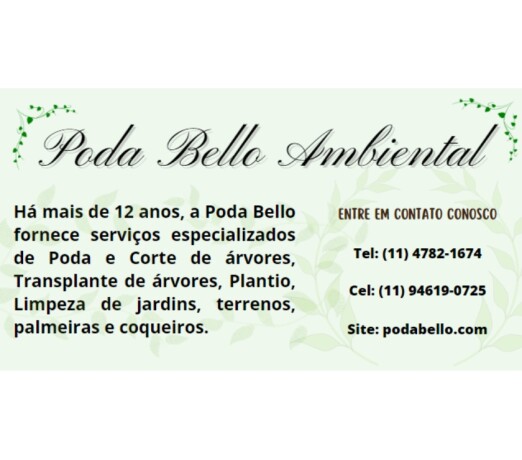 poda-corte-transplante-plantio-de-rvores-e-mais-santo-amaro-servicos-especializados-no-319797611-big-0