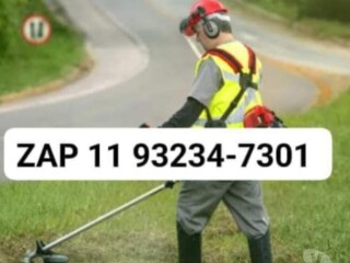 Limpeza de Gramado Outros Bairros Sao Paulo SP Servicos especializados no 326631256 