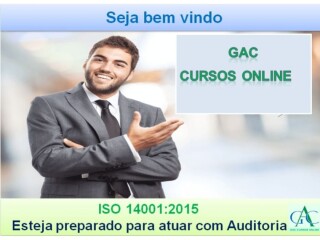 Curso Online Auditor Interno Sistema de Gesto Integrada Porto Velho RO cursos tcnicos enfermagem esttica profissionalizantes 166803543 