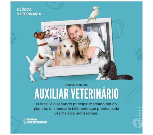 curso-de-auxiliar-veterinrio-online-completo-e-certificado-batatais-sp-cursos-tcnicos-enfermagem-esttica-profissionalizantes-324939224-big-0