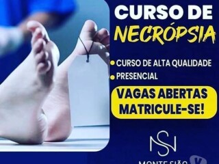 Curso de Auxiliar de Necrpsia Bauru SP cursos tcnicos enfermagem esttica profissionalizantes 329937638 