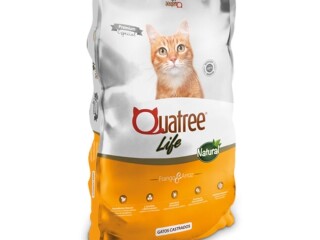 Raco Quatree Life Gatos Castrados 20 KG Sem Transgnicos Outros Bairros Belo Horizonte MG Pet shops e veterinrios Outros Bairros Belo Horizonte MG no 205123590 