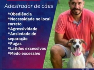 Adestrador de ces Teresopolis RJ Pet shops e veterinrios Teresopolis RJ no 327875436 