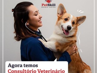 Vacinaco e consultas veterinrias Maringa PR Pet shops e veterinrios Maringa PR no 329203631 