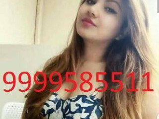 Call Whatsapp 919999585511 Delhi Noida Ghaziab Noida IN442D68CC3F