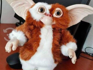 Gizmo gremlins en México Ciudad De | Clasf aficiones-y-ocio