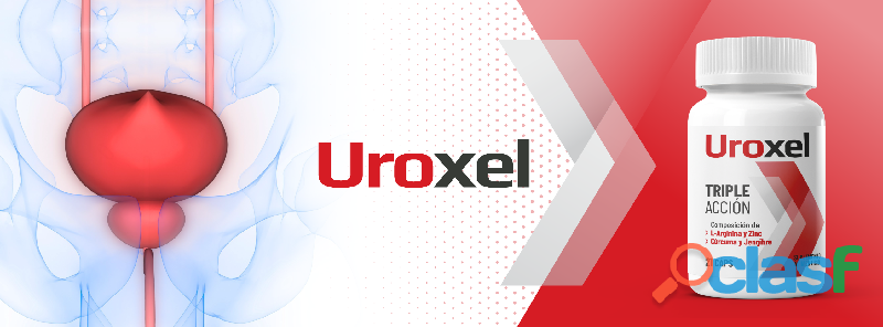 uroxel-solucion-eficaz-para-hombres-en-la-lucha-contra-la-cistitis-y-problemas-del-sistema-urogenit-en-toluca-clasf-aficiones-y-ocio-big-0