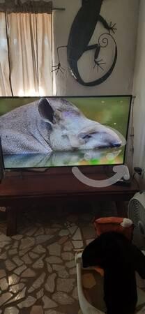 smart-tv-55-samsung-en-ensenada-clasf-imagen-y-sonido-big-0