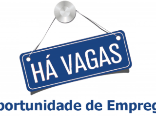 Vaga de emprego para Estoquista em So Paulo SP Empregos 